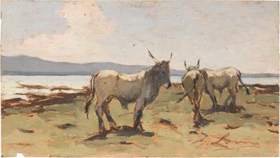 Maremma