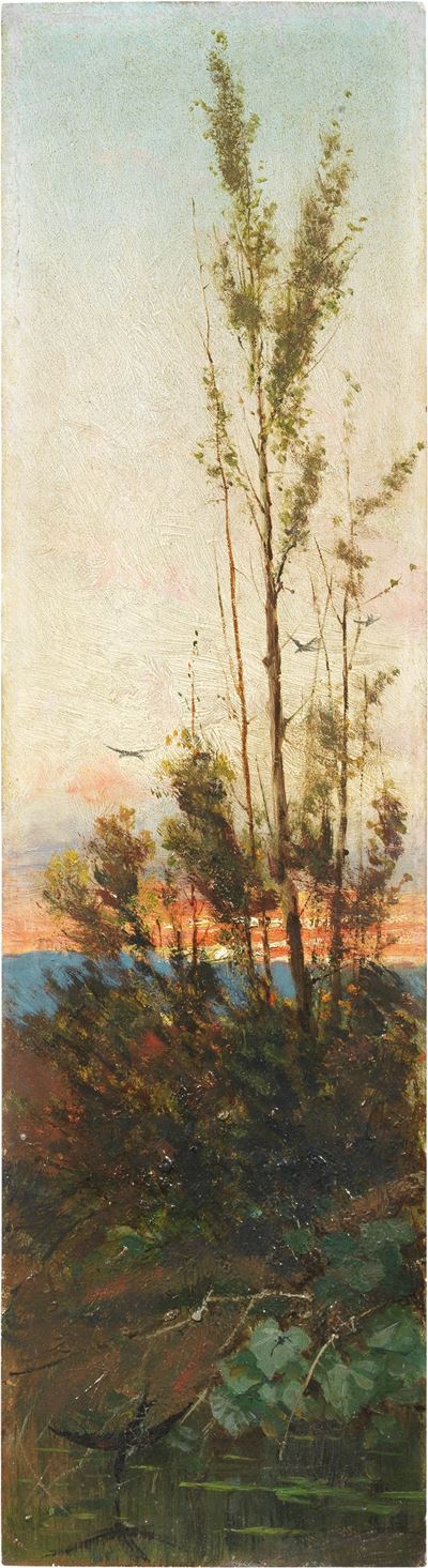Tramonto in Primavera