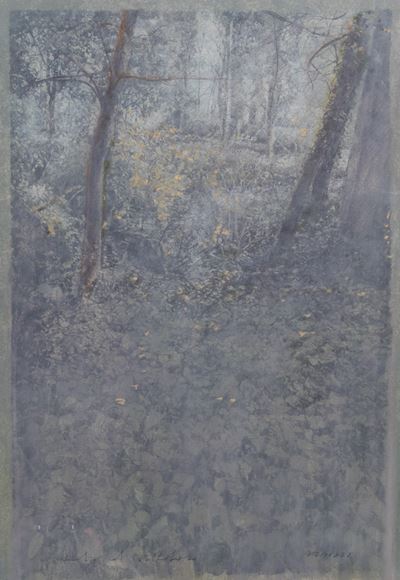 Studio di Sottobosco