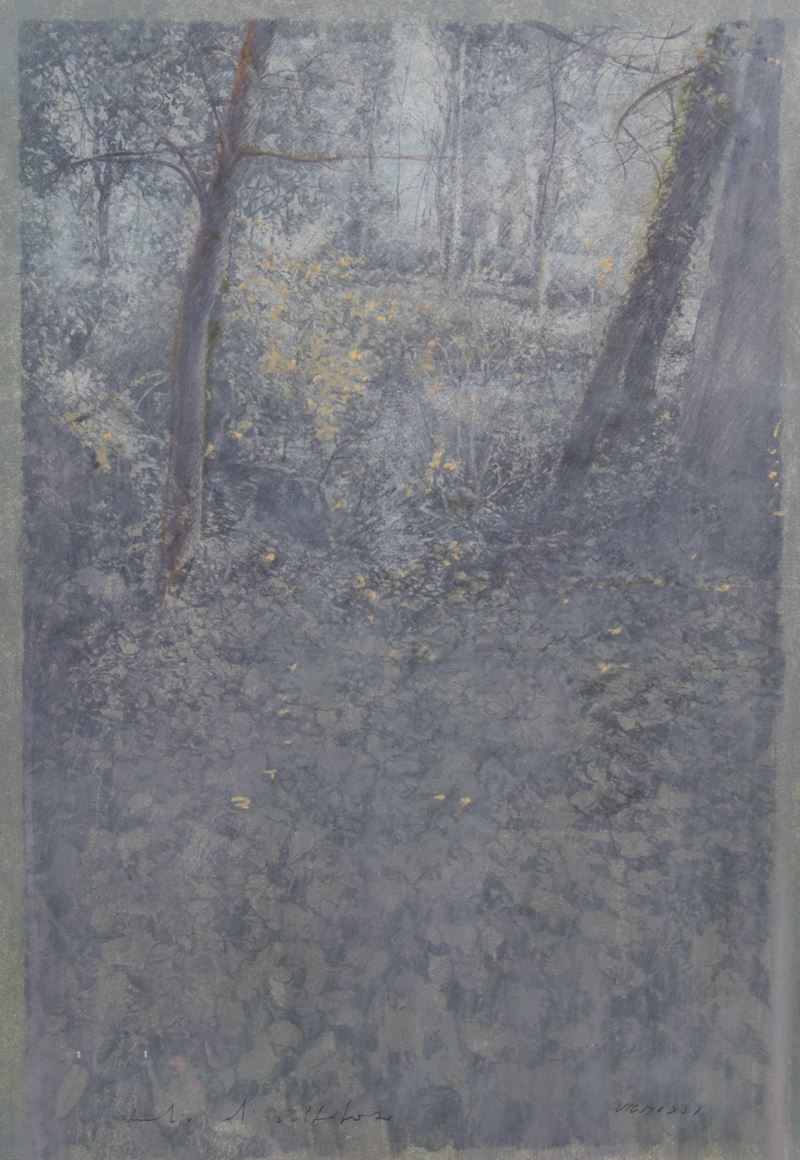 Piero Vignozzi - Studio di Sottobosco
