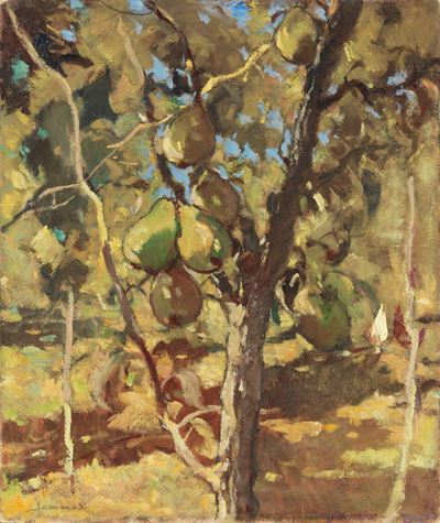 L'albero delle Pere