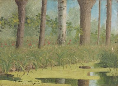 Alberi
