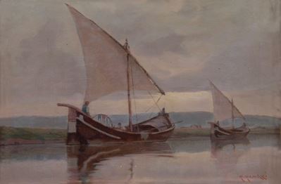 Navicelli