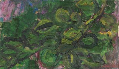 Vegetazione