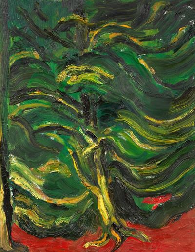 Alberi