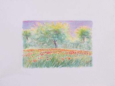 Paesaggio