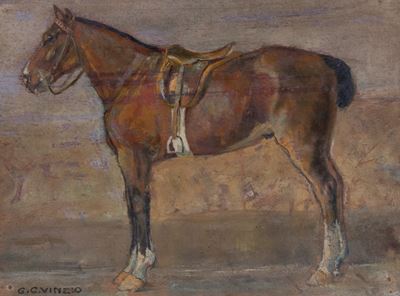Cavallo