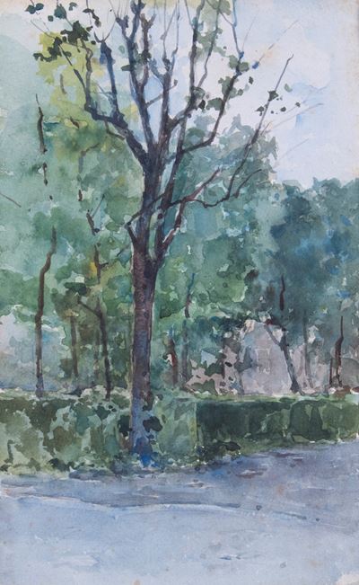 Tre Disegni a Soggetto «bosco»