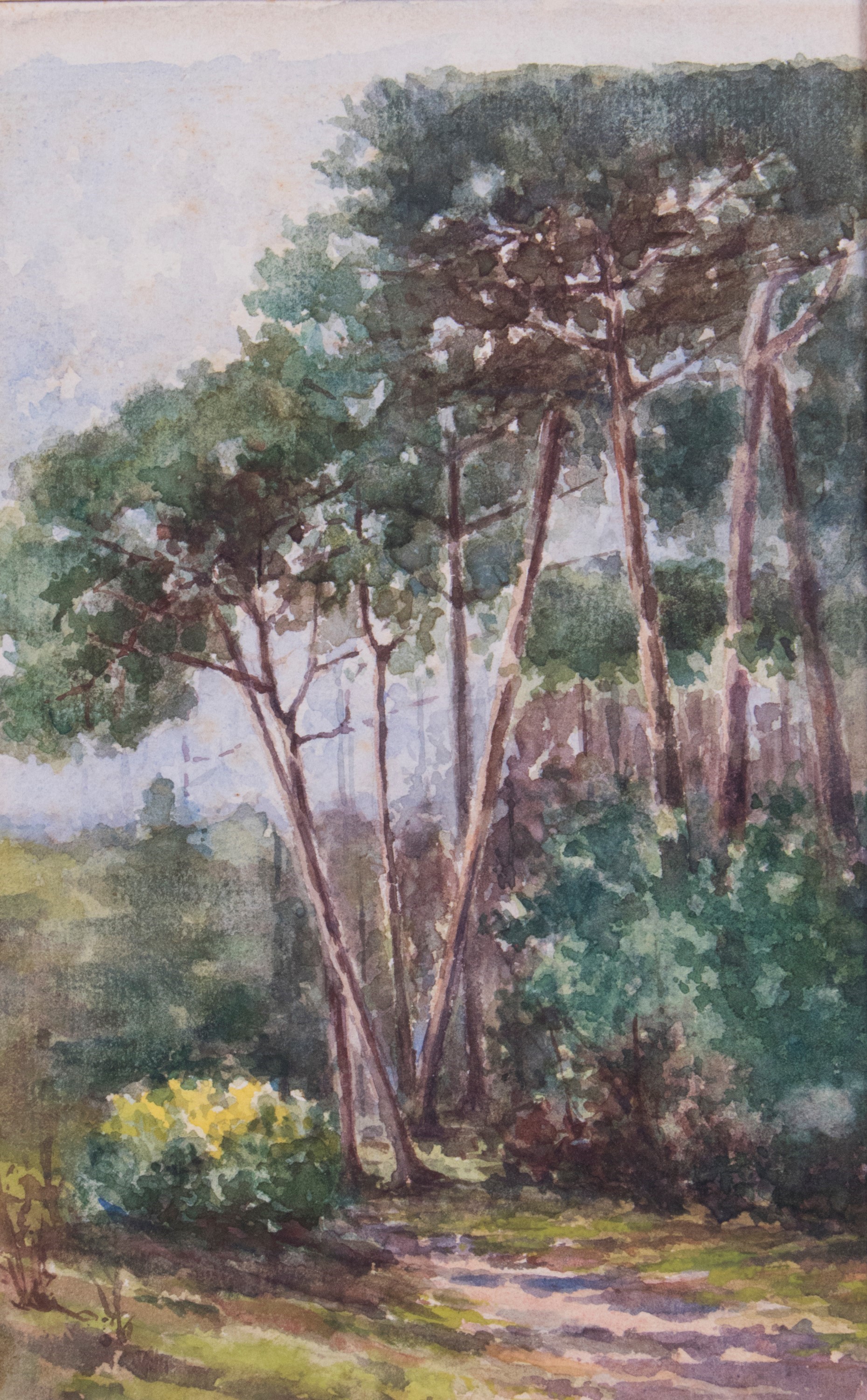 Ignoto del XX Secolo - Tre Disegni a Soggetto «bosco»