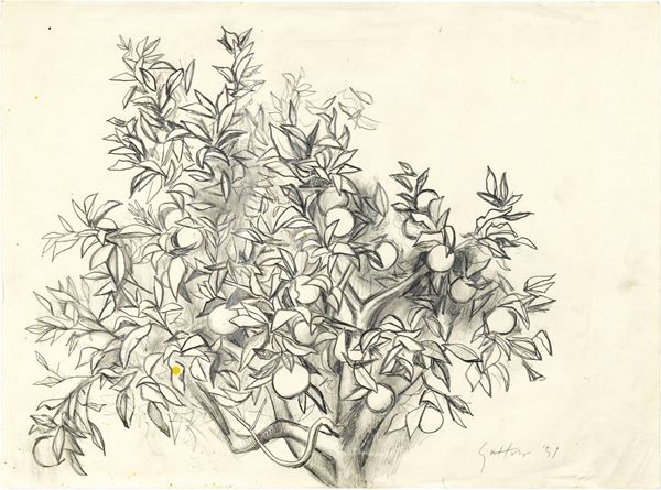 Renato Guttuso : Albero di arancio  (1951)  - Matita su carta - Auction Modern Art  [..]