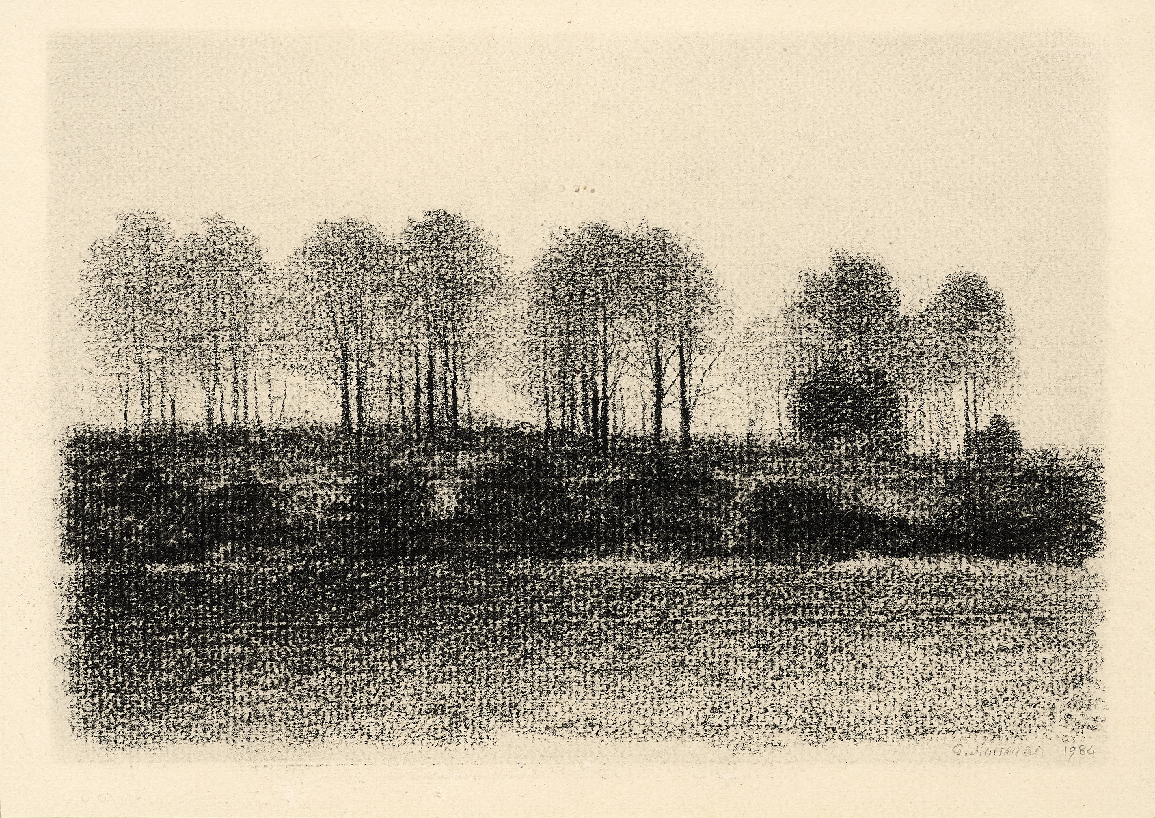 Un Disegno e una Grafica