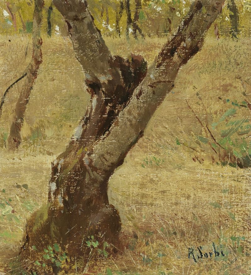 Raffaello Sorbi - Olivo