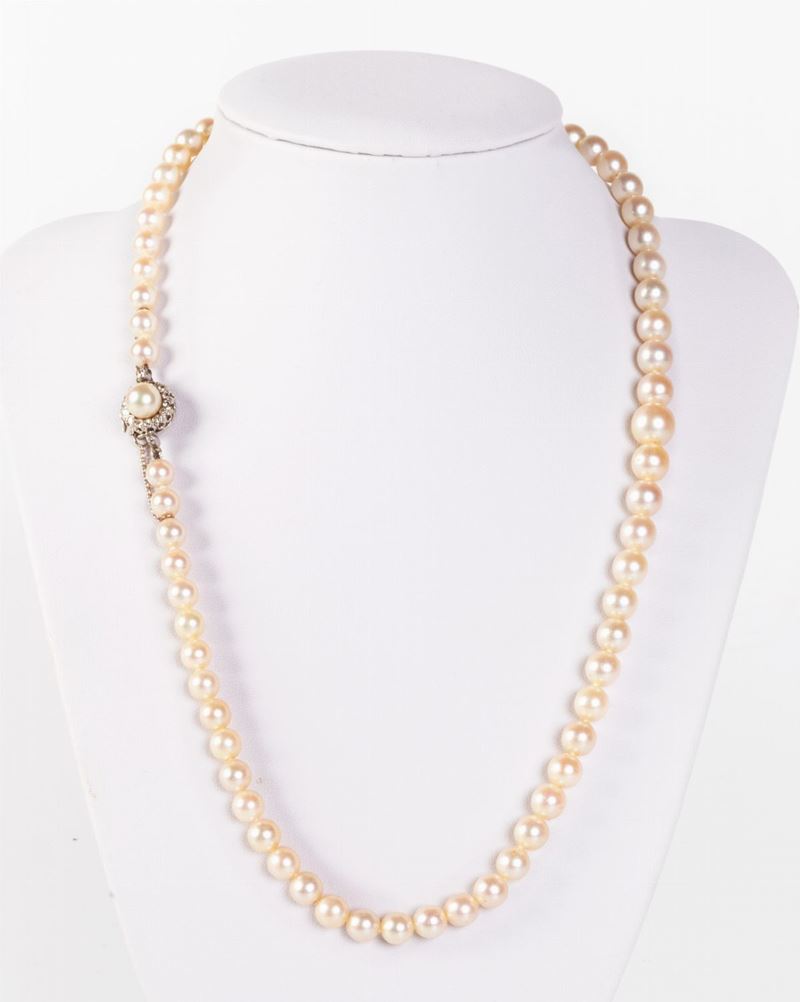 Collana di Perle Coltivate