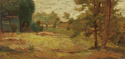 Radura nel Bosco