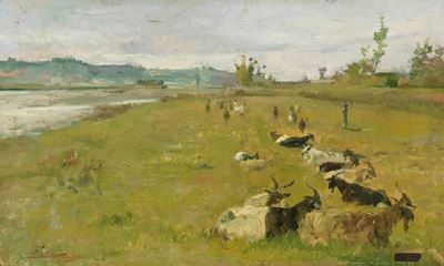 Capre al Pascolo sul Greto Dell'arno