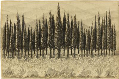 Cipressi a Cotorniano