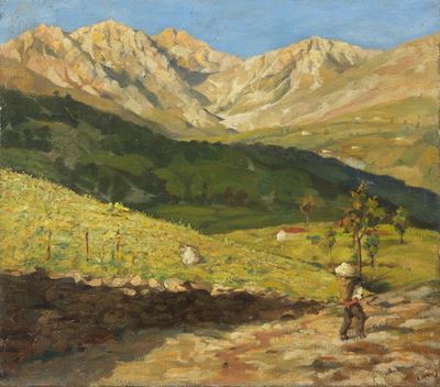 Paesaggio Montano