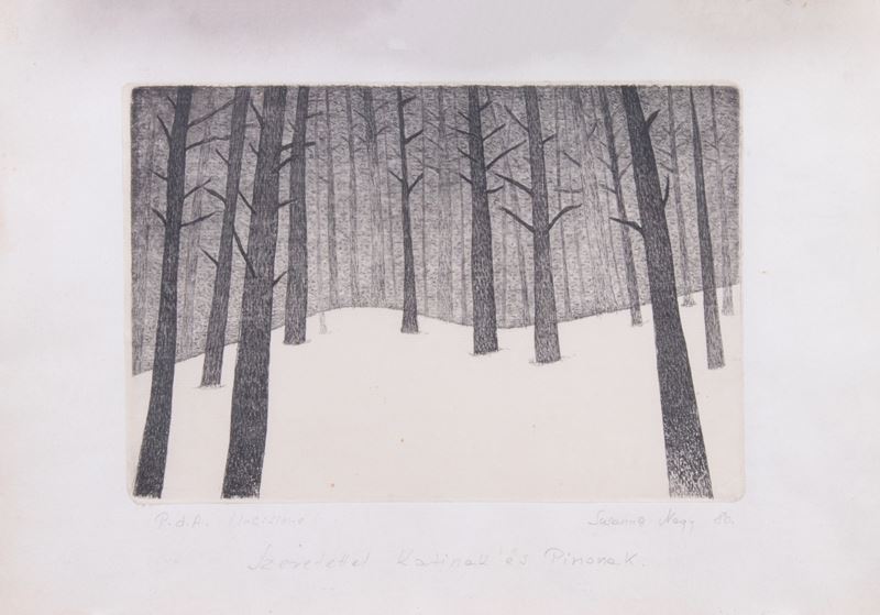 Susanna Nagy - Senza Titolo