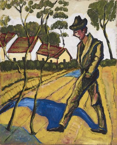 Passeggiata nei campi