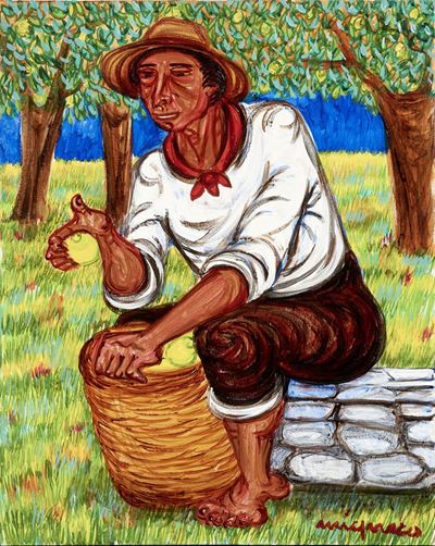 Raccoglitore di Limoni