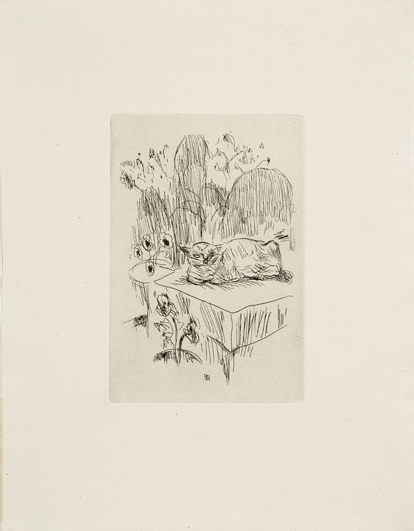 Pierre Bonnard - Le chat