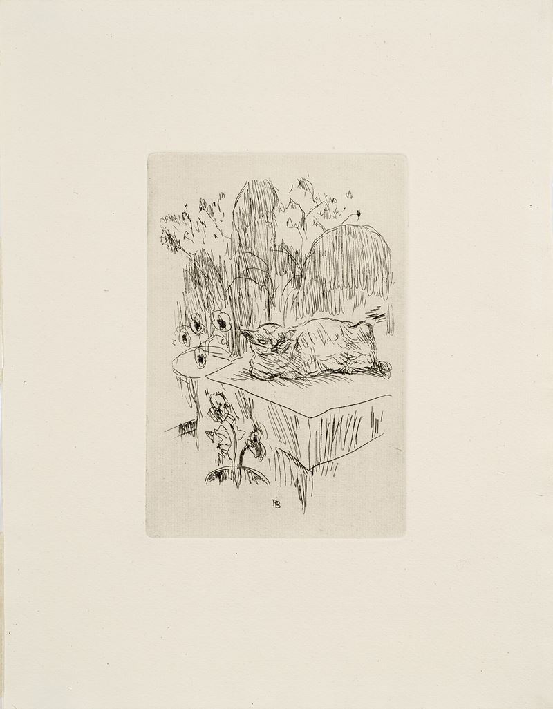 Pierre Bonnard - Le Chat