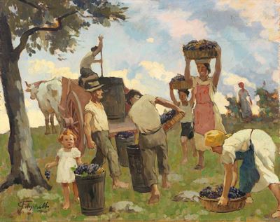 Studio per la Vendemmia