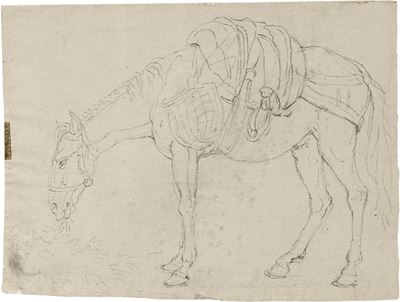 Studi Cavallo