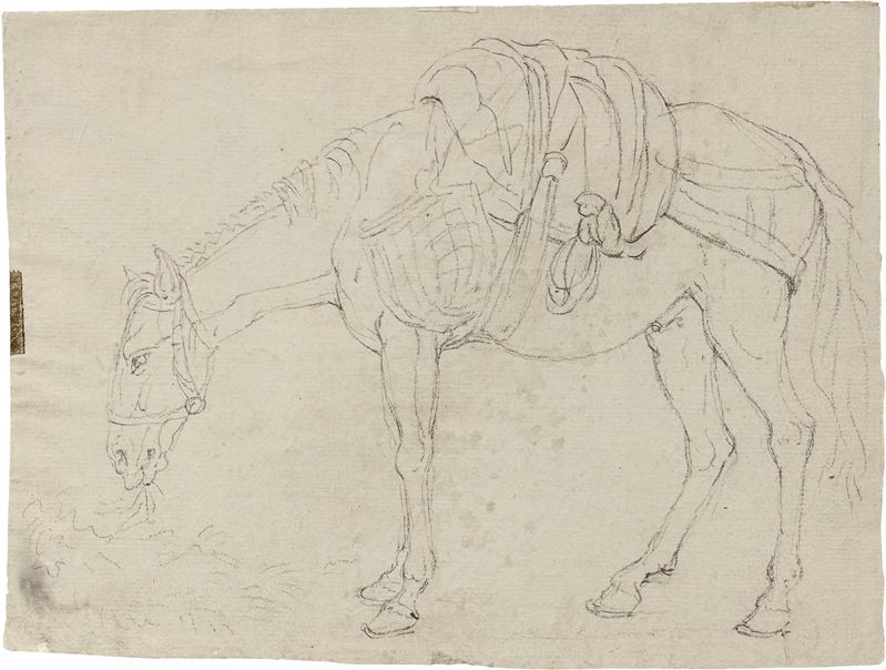 Laurent Pécheux (attr. A) - Studi Cavallo