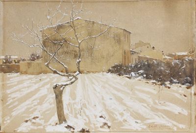 Paesaggio Nevoso