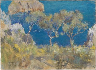 Ulivi sul Mare a Capri