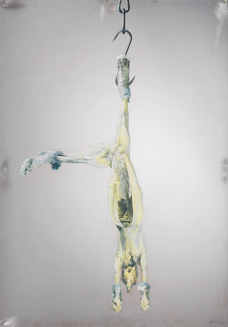 Michelangelo Pistoletto - Coniglio