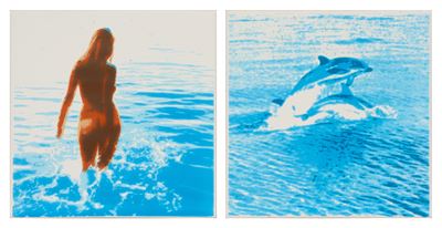 «donna» e «delfini»