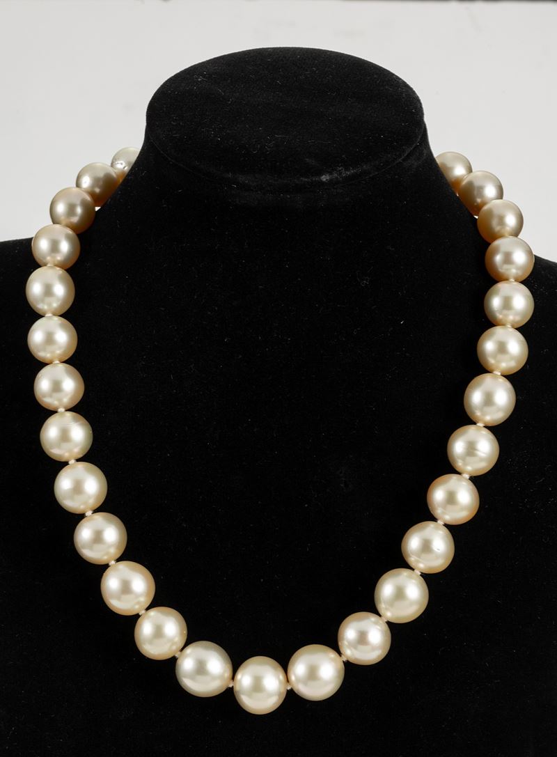 Collana girocollo di perle Gold in gradazione