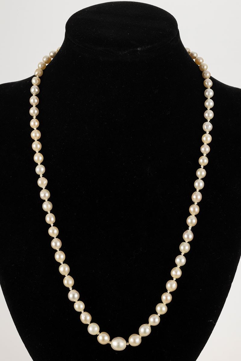 Collana di Perle Coltivate in Gradazione