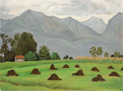 Apuane