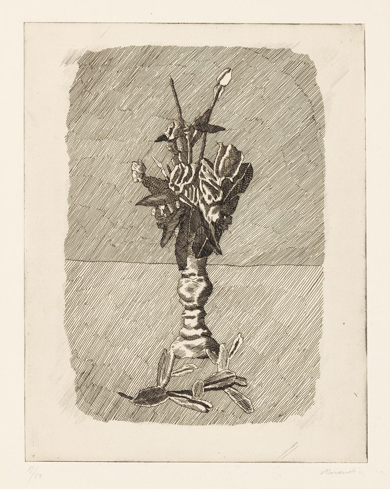 Giorgio Morandi - Rose in Boccio in un Vaso