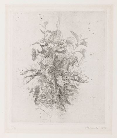 Fiori di Campo