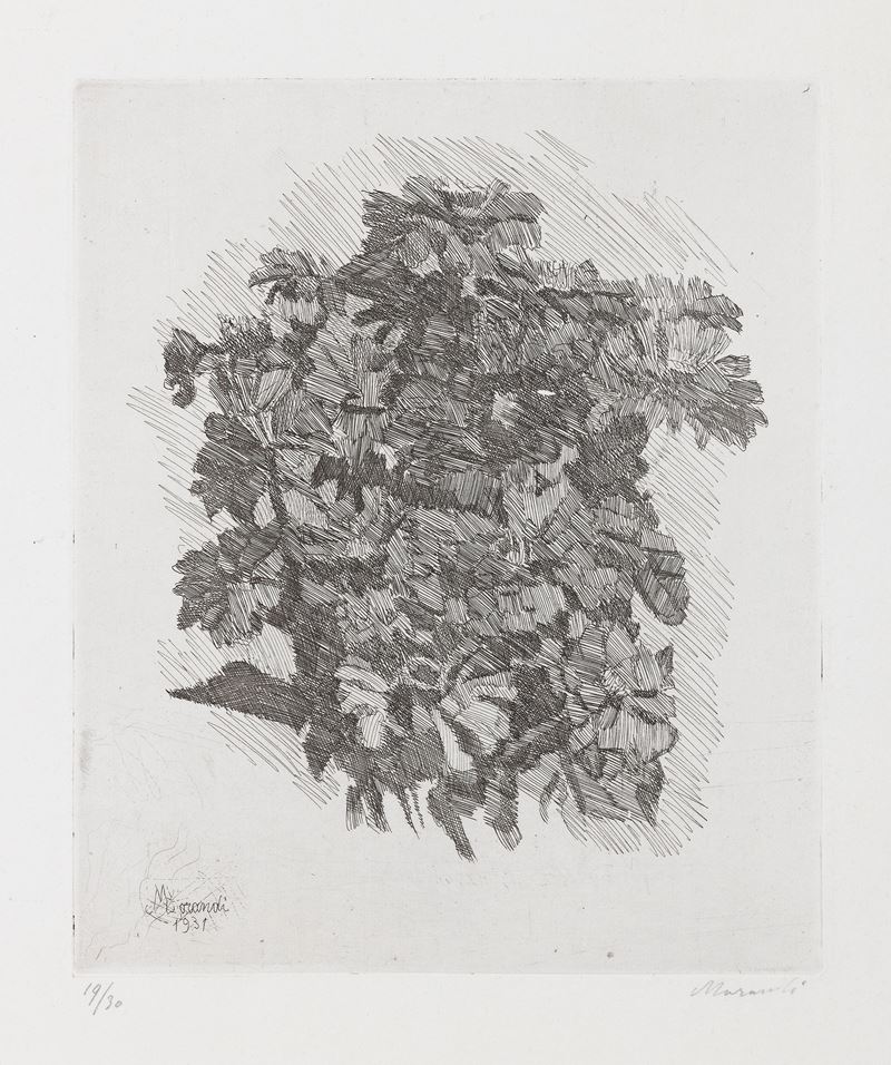 Giorgio Morandi - Gruppo di Zinnie