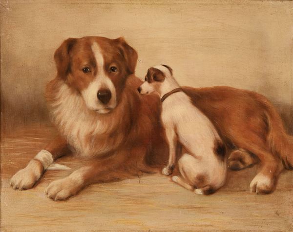Ignoto inizio XX secolo - Coppia di cani