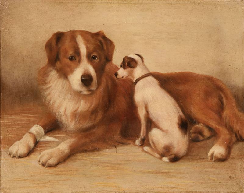 Ignoto Inizio XX Secolo - Coppia di Cani