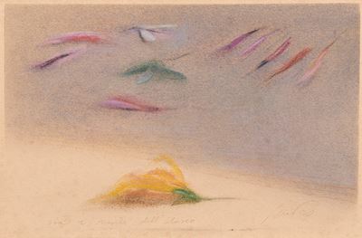 Vita e Morte Dell'ibisco