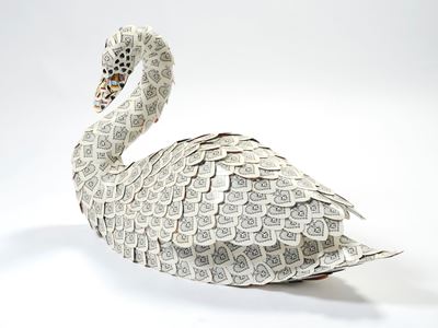 Cigno
