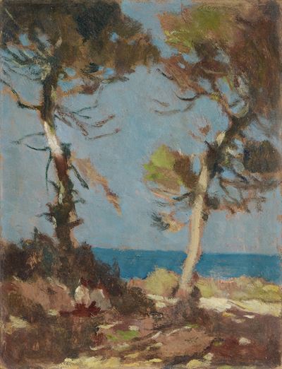Tamerici sul Mare