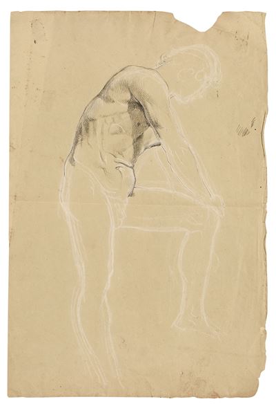 Studio Anatomico