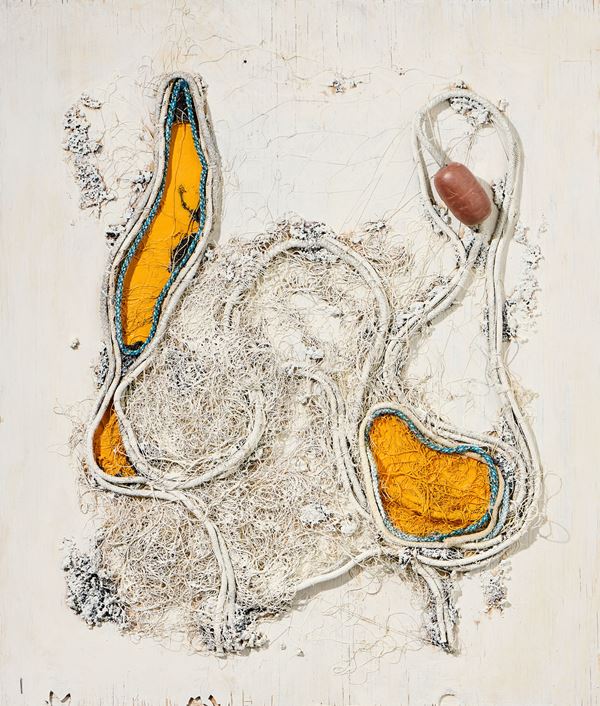 Giulio Galgani - Rete in giallo