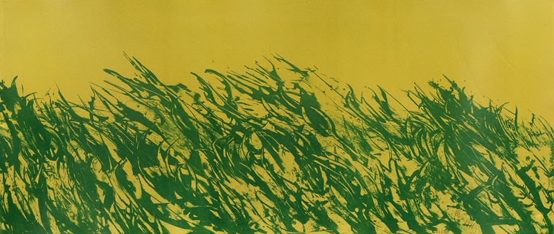 Il campo avvelenato impazzisce