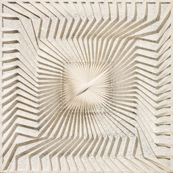 Alberto Biasi - Rilievo dinamico