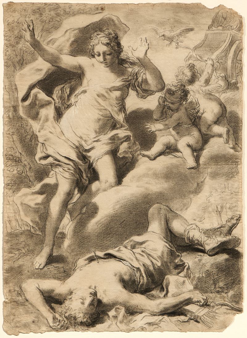 Venere scopre il corpo di Adone morto