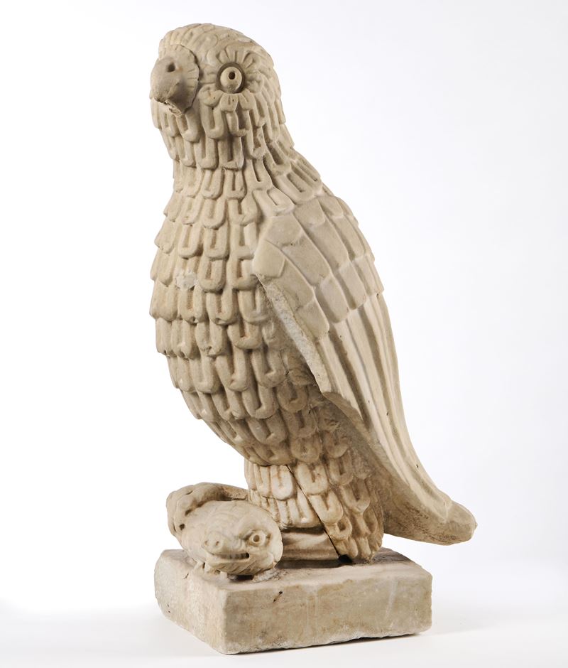 Rapace che tiene un serpente